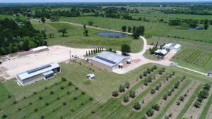 Mediadji .jpg – Longhorn Solar Red Rock Vineyard solar installation by Longhorn Solar